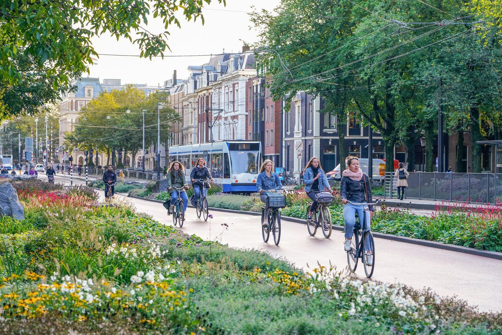 Amsterdam cycling infrastructure and car-free streets
